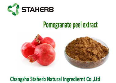 China Granatapfel-Schale starke Pflanzenauszug-Antimutagen- und Antikrebs-Eigenschaften fournisseur