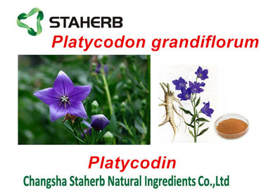 China Grünpflanze-Auszüge Platycodon Grandiflorum, Chemikalien von den Anlagen extrahierend fournisseur