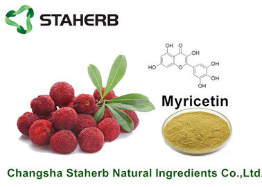 China Lorbeere-Barken-reines natürliches Pflanzenauszug-Myricetin 98% für Gesundheits-Produkt durch HPLC fournisseur