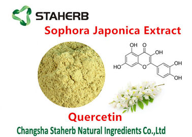 China Sophora Japonica-Auszug, der Chemikalien von Betriebsquercetin 98% extrahiert fournisseur