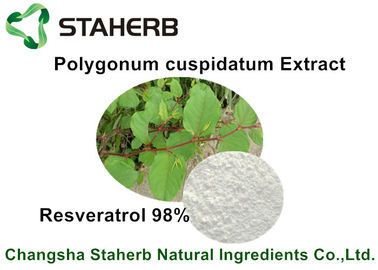 China Resveratrol 50% - 98% roher kosmetischer Bestandteile Polygonum Cuspidatums-Auszug fournisseur