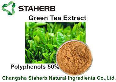 China Gelbes Brown-Pulver-natürliche Pflanzenauszug-grüner Tee-Auszug-Polyphenole 50% durch HPLC fournisseur