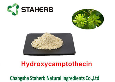 China Reine natürliche Pflanzenauszüge Hydroxycamptothecin 98% Camptothecae Acuminatae fournisseur