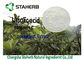 Pflanzenauszüge Ursolic saures reines natürliches Loquat-Blatt/Rosemary-Auszug-Kosmetik fournisseur