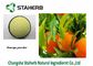 Orange Frucht-antibakterielle Pflanzenauszüge, entwässertes Zitrusfrucht Aurantium-Pulver hellgelb fournisseur