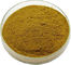 Reine Natur-organisches Pfefferminz-Blatt-Auszug-Brown-Pulver-Verhältnis 10/1 durch TLC fournisseur