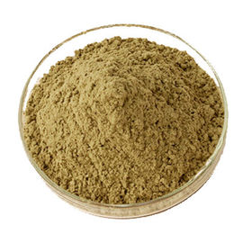Organischer Efeu-Blatt-Auszug, Pulver-Brown-Gelb des Hedera-Schneckenauszug-10% Hederacoside C fournisseur