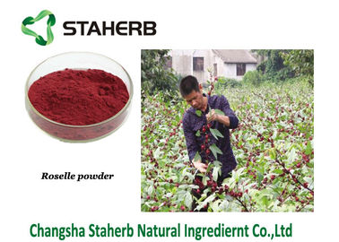 Roselle-Pulver-reine natürliche Pflanzenauszüge, Hibiscus Sabdariffa-Auszug enthalten Anthocyanidin Schisandrins fournisseur