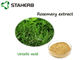 Blatt-Auszug Ursolic Antioxdent Rosemary saures Pulver für Cusmetic-Produkt fournisseur