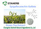 Organische/starke Antioxydantien ergänzt Epigallocatechin-Gallat 50-98% fournisseur