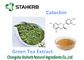 Antioxidanspulver des grüner Tee-Auszug-diätetische Ergänzungs-Katechin-50-98% fournisseur