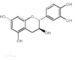 Antioxidanspulver des grüner Tee-Auszug-diätetische Ergänzungs-Katechin-50-98% fournisseur