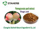 Granatapfel-Schale starke Pflanzenauszug-Antimutagen- und Antikrebs-Eigenschaften fournisseur