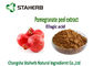 Granatapfel-Schale starke Pflanzenauszug-Antimutagen- und Antikrebs-Eigenschaften fournisseur