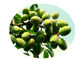 Olea Europaea-Blatt-Kräuterauszug-Pulver, organische Pflanzenauszug-Oleanolic Säure 98% fournisseur
